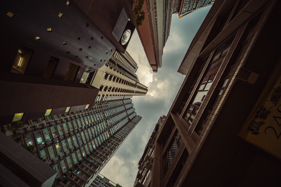 探索Velos Markets 威马：金融科技的新篇章