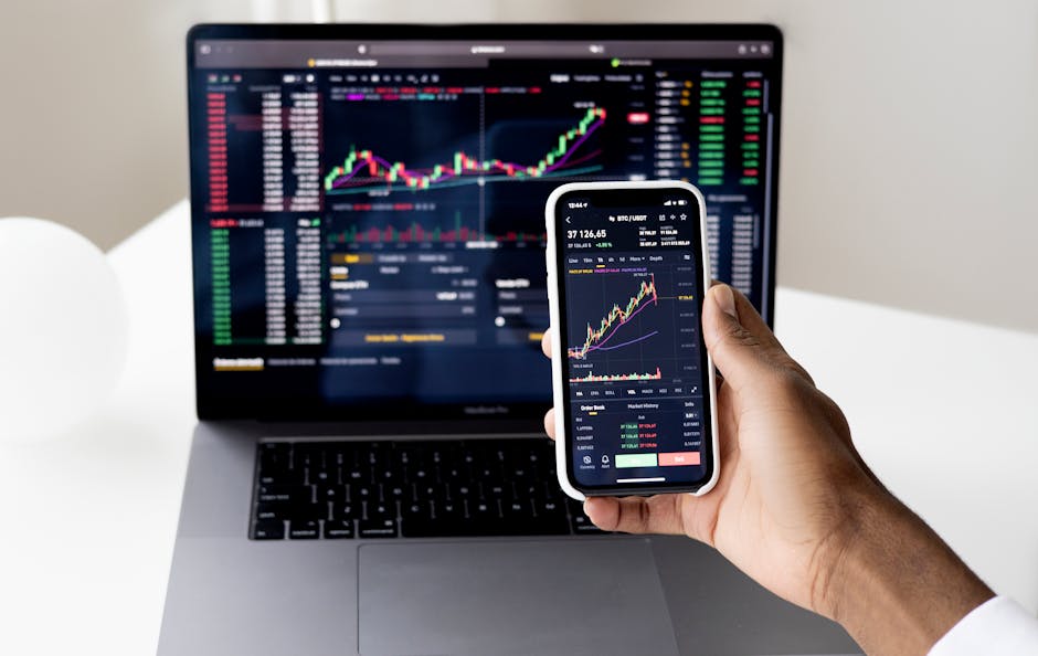 Velos 威马证券：在线金融交易平台的全面解析