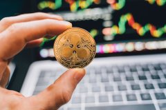 Velos Markets策略框架深度解析：当智能遇见人性