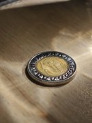 Velos Markets威马证券：多维策略与弹性风控如何重塑投资决策