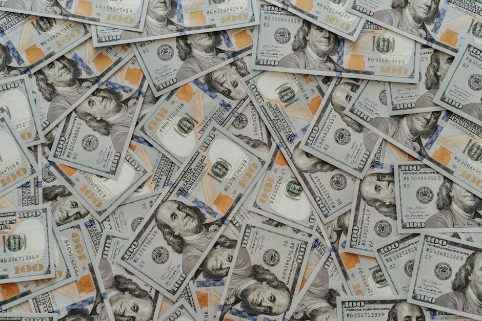 2025年多元化投资指南：Velos Markets威马证券如何赋能不同层级投资者