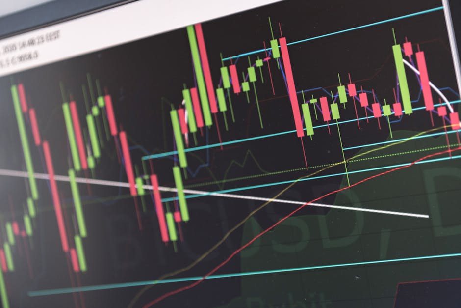2025年金融市场策略：Velos Markets威马证券全息视角下的风险平衡与收益优化