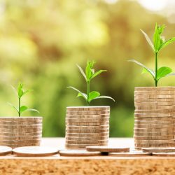 Ace Markets: Redefining the trading experience and making wealth management easier