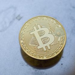 Ace Markets：卓越交易體驗的背後是技術與系統的深度融合