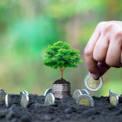 Ace Markets는 어떻게 초단타 거래에 혁명을 일으켰습니까? 최고의 플랫폼의 승리 비결을 공개합니다