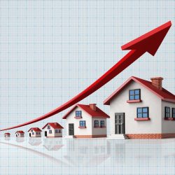 Ace Markets Platform Advantages Analysis: A High-Performance Partner for Professional Quantitative Trading