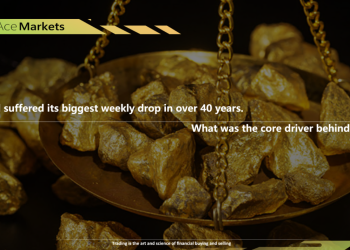 ScreenShot_2026-03-24_150817_720